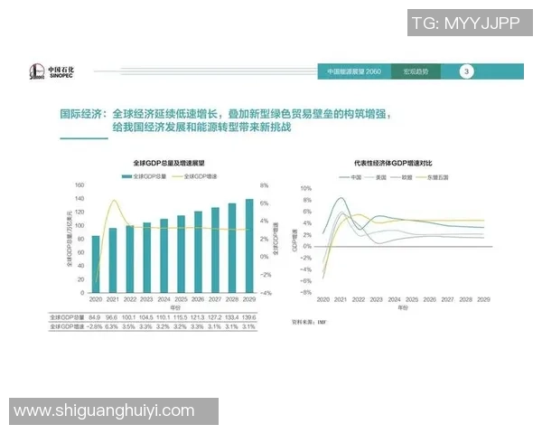 足球明星严鼎皓的崛起之路与未来发展展望分析